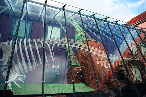 Spiegelung des Doms auf der Glasumhüllung des Walskeletts im Museum für Umwelt und Natur