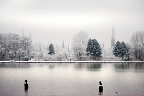 St. Marien und St. Jakobi vom Drägerpark aus gesehen an einem verschneiten Wintertag